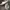 Tod's Casual Casual shoe Pria white gray photo 1