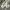 Tod's Casual Casual shoe Pria white gray photo 3