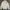 Sportswear Windbreaker Pria white photo 5