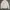 Sportswear Windbreaker Pria white photo 1