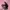 Adidas Gorpcore Indie Sneakers Wanita pink black photo 3