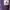 Hodie Sweden tag onn photo 2