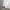 Converse Colorblock Windbreaker Jacket photo 4