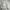 Outer Canvas Sherpa Jacket photo 5