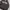 Hoodie American Bachelor brown spellout Logo  photo 2