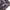 Dickies Streetwear Casual Casual shirt Pria multicolor photo 3