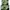 Nike Casual Bag Pria green photo 3