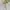 Coach Minimalist Casual Shoulder bag Wanita white cream photo 4