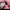 Adidas Gorpcore Indie Sneakers Wanita pink photo 6