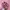 Adidas Gorpcore Indie Sneakers Wanita pink photo 3