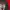 BULLETNOISE,LONGSLEVE  photo 2