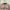 Burberry Vintage Luxury Sweater Pria cream tan photo 2
