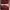 Thrasher Skate Mag Maroon photo 1