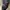 Essentials Fear Of Fod Hoodie Black photo 3