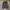 Essentials Fear Of Fod Hoodie Black photo 1