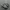 new balance 1906 photo 1