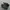 nike jordan low photo 1