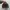 nike jordan low photo 4