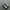 nike jordan low photo 3