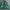 Adidas Vintage Sportswear Windbreaker Pria green black photo 1
