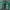 Adidas Vintage Sportswear Windbreaker Pria green black photo 3