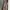 halter dress photo 2
