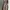 Halter Dress