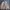 Vintage Streetwear Parka Pria cream tan photo 3