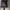 Vintage Streetwear Parka Pria cream tan photo 6