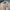 Vintage Streetwear Parka Pria cream tan photo 2