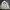 Vintage Y2K Harrington jacket Pria cream photo 1