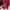 Hoodie Easy simple maroon photo 3