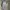 WHO.A.U Vintage Indie Jeans Pria gray photo 4