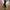 Heels pesta photo 1