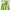 Hoodie IAB STUDIO green woshing photo 3