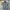 Levi’s Blue Denim Buckle Back Shirts