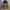 Burton Gorpcore Snowboard Outdoor Jacket photo 1