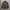 Golden Bear Coat Jacket photo 5