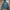 LMC Casual Hoody Pria multicolor photo 5