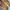 Birkenstock photo 3