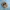 Birkenstock photo 2