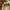 Vans Streetwear Casual Sneakers Pria white photo 6