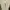 Vans Streetwear Casual Sneakers Pria white photo 4