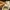 Vans Streetwear Casual Sneakers Pria white photo 6