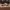 Vans Streetwear Casual Sneakers Pria white black photo 4