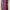 Karl Legerfeld NWT