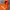 Kirsh hoodie orange photo 2