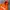 Kirsh Hoodie Orange