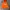 Kirsh hoodie orange photo 1