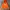 Kirsh Hoodie Orange